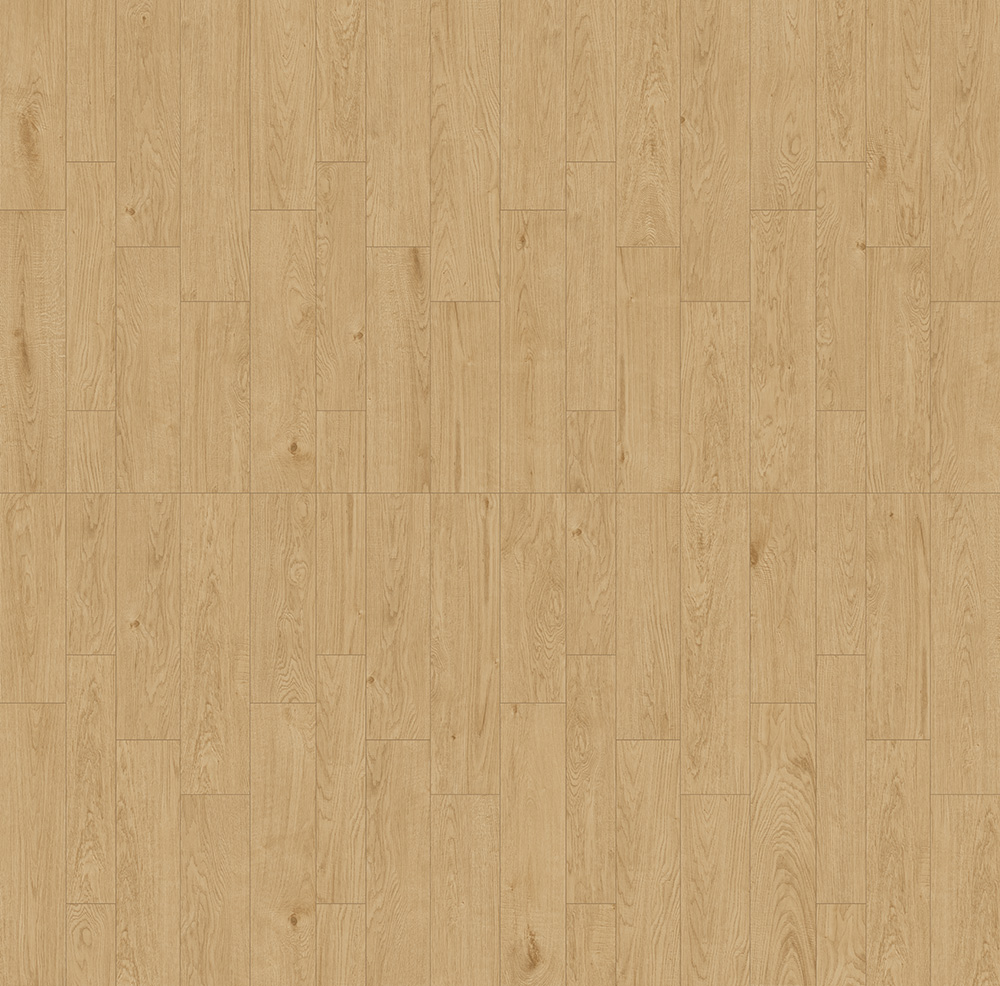 DF62M9022.jpg